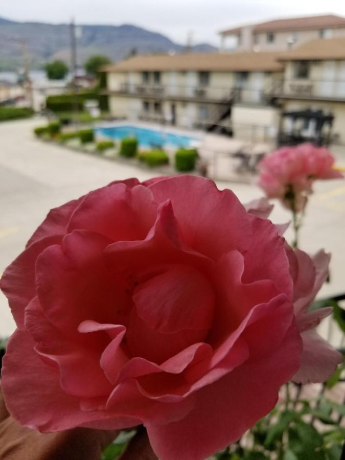 Osoyoos Lakeview Inn & Suites Zewnętrze zdjęcie